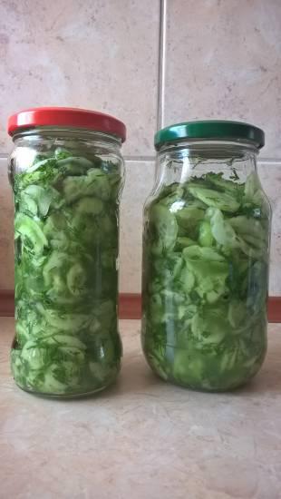 tzatziki zas�oikowane